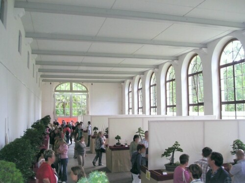 bonsai-ausstellung-01.jpg