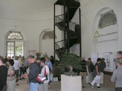 bonsai-ausstellung-02.jpg