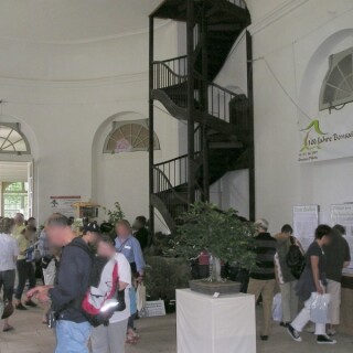 bonsai-ausstellung-02
