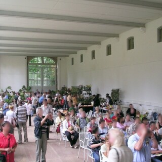 bonsai-ausstellung-03